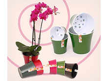 482825352 w200 h200 arteee.jpg