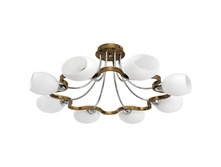 324010508 10000�.jpg