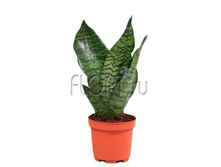 ����������� ��������� 9�35. 204,74 ���.jpg