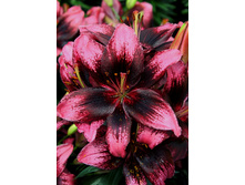 29,84���. ����� ����� �����(��� 5 ��. ���������� �� 2��.).jpg