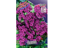 42,63���. ����� �����(�������� ���� �� 3 ��., ����������� ����� 1��.).jpg