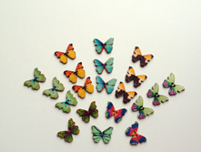 ������� ���������� 28�� 6���