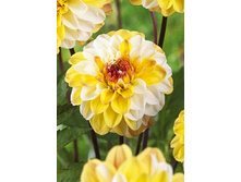 83,5���. �������� ���� �����(�������� ���� �� 1 ��., ����������� ����� 1��.).jpg