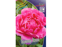 164,2���. ���� ������ ����(�������� ���� �� 1 ��., ����������� ����� 1��.).jpg