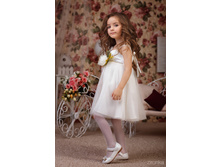 40*36-2    1321 ���.