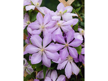 124,3���. �������� ������ ����������(�������� ���� �� 2 ��., ����������� ����� 1��.).jpg