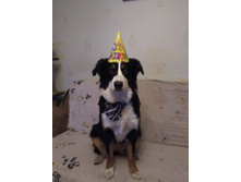 IMG 20161026 190644.jpg