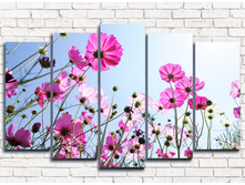 �������� 5-1.jpg