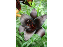 34,9���. ����� ����������(��� 5 ��. ���������� �� 2��.)���17.jpg