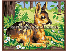 57f4b62703f29 gl50537.jpg