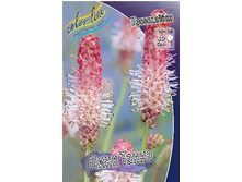 101,85���. ���������� ���� �����(�������� ���� �� 2 ��., ����������� ����� 1��.).jpg