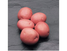 ����� (�����) 44���. �� 1��.jpeg