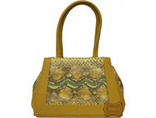 881 �����������+����� (1243 ���).jpeg