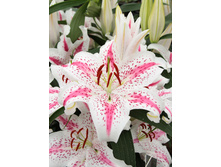 36,58���. ����� ���������(��� 5 ��. ���������� �� 2��.)���16.jpg