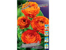 8,84���. ���������� ���������(���������� ������ ������ ���������� �� 10 ��.).jpg