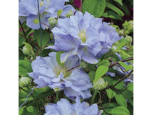 �������� ������� ����-280.jpg