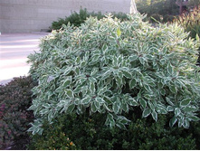 128���. ���� ����� �������� ���������.jpg