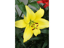 26,46���. ����� ������ �����(��� 5 ��. ���������� �� 2��.).jpg