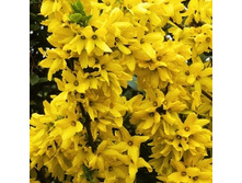 136���. �������� ������������� ������� �������.jpg