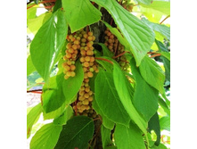 �������� ���������-209�.jpg