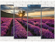 ��������� ���� 4-2.jpg