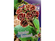 199���. ������� �������� ��������(�������� ���� �� 1 ��., ����������� ����� 1��.).jpg