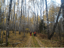 P 20161016 113406.jpg