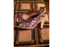 ��������� ����������� 37