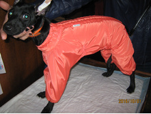 ����� 006.jpg