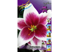 24,81���. ����� ������(��� 7 ��. ���������� �� 2��.).jpg