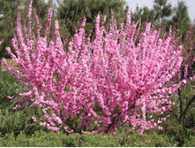 187���. ������� ������������� (���������).jpg