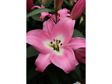 23,11���. ����� ���������(��� 7 ��. ���������� �� 2��.).jpg