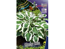 78,15���. ����� ����� ���(�������� ���� �� 2 ��., ����������� ����� 1��.).jpg