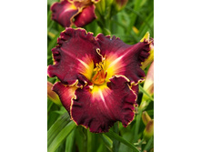 172,1���. �������� ���������(�������� ���� �� 1 ��., ����������� ����� 1��.).jpg