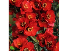 138���. ���� ���������� (���������) ������.jpg