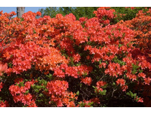 ������ �������� �������� �����-135.jpg