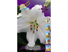 26,5���. ����� ������(��� 7 ��. ���������� �� 2��.).jpg