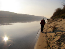 IMG 7741 f.jpg