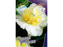 507,8���. ���� ������ ������(�������� ���� �� 1 ��., ����������� ����� 1��.).jpg