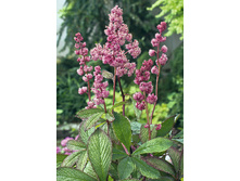 211,6���. ��������� ���� ������(�������� ���� �� 1 ��., ����������� ����� 1��.).jpg