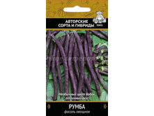 ������ �����