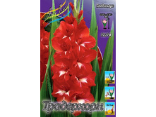 8,53���. ��������� ����������(���������� ������ ������ ���������� �� 7 ��.).jpg