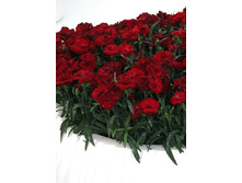 79,75���. �������� ������� ���� ���(�������� ���� �� 2 ��., ����������� ����� 1��.)���17.jpg