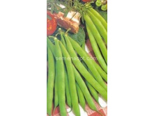 ������ ����� ��� ������� 615 �������,(��)7,50 ���. [���.9000645]