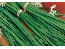 ��� ��������� �������� 0,3� ���.��� �.� 5,00 ���. [���.��000002889]