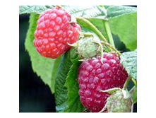 179���. ������ ����� ����� ���17.jpg