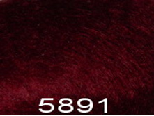 ����� ����� ���� 5891