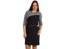 ������ 1131.JPG