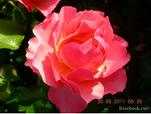 Jean Cocteau ��� ����� 2,95 ����.jpg