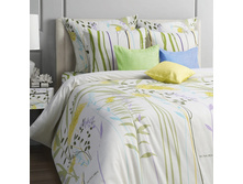 ��� Bamboo 1,5 ��, 1243 ���.